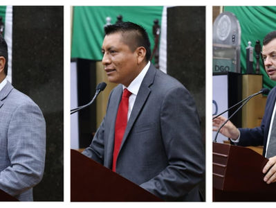 Diputados alzan la voz a favor del sector forestal