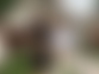 La UJED trabaja en el fortalecimiento de cuerpos académicos con estancias de investigadores