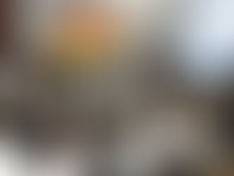 Toma parte Sideapa en actividades de la XXIII edición de la conmemoración del Desierto Chihuahuense