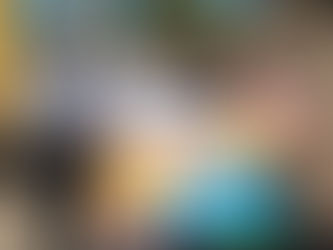 Derriba Municipio 6 ladrilleras; suma 59 fuera de operación