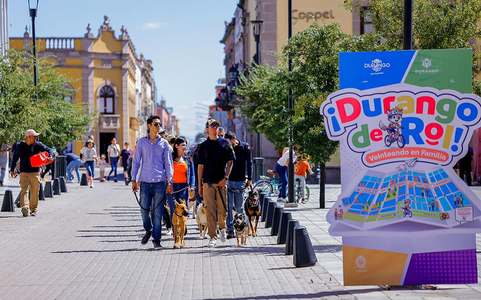 ¡Este domingo, vámonos a Durango de Rol!