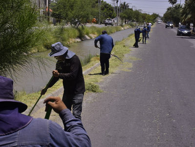 Redoblan labores de limpieza en el centro de Gómez Palacio