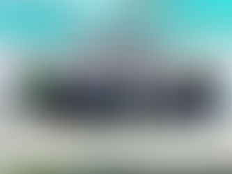 HÉCTOR HERRERA SERÁ EL COORDINADOR DE LA COALICIÓN LEGISLATIVA MORENA - PARTIDO VERDE EN EL CONGRESO