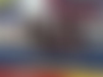 Finaliza curso de la Academia de Gimnasia Artística del IED