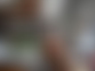 FUNCIONARIOS DE LA SEED INFORMAN SOBRE HACIA UNA NUEVA ESCUELA MEXICANA.