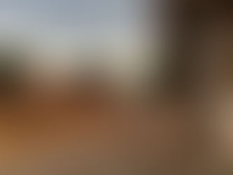 Poda Ayuntamiento árboles que representan peligro a la ciudadanía