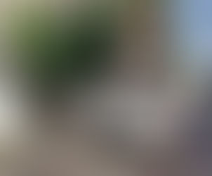 Daños mínimos dejan fuertes vientos en Gómez Palacio