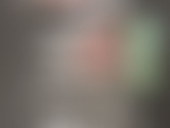 Policía Estatal asegura navajas y demás objetos que intentaron ingresar a la Feria