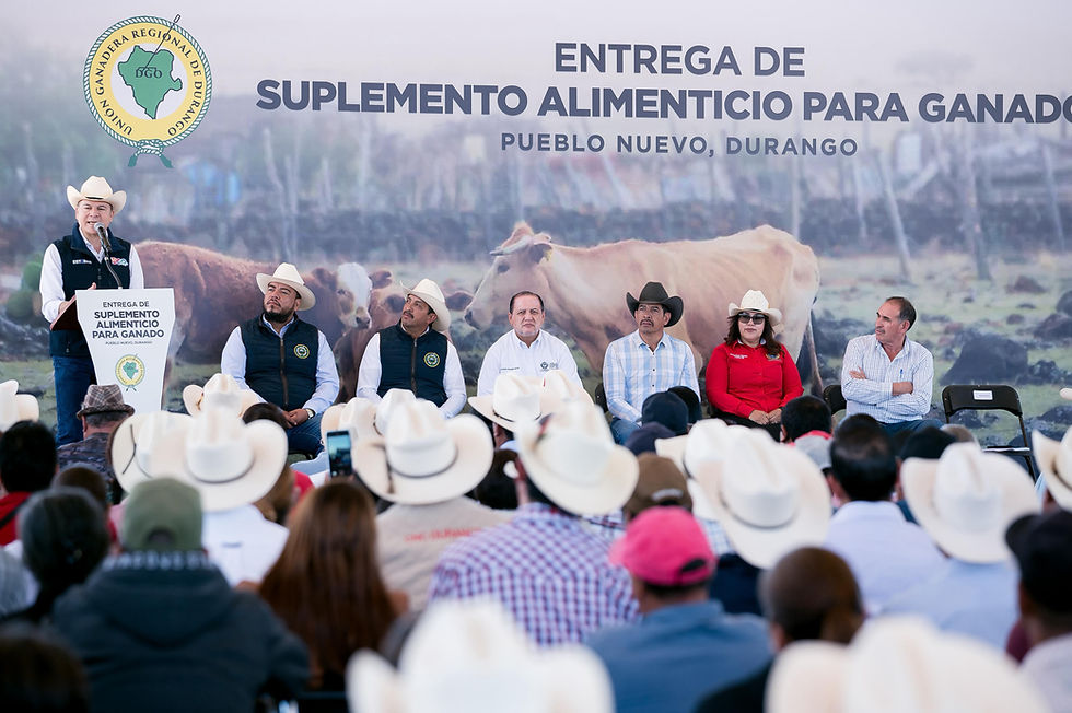 Gobierno del Estado y Unión Ganadera entregan 160 toneladas de maíz molido en Pueblo Nuevo