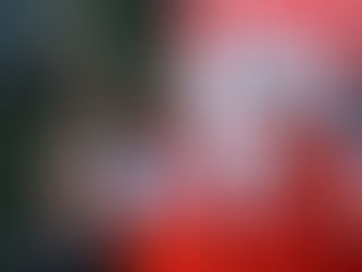 El PRI de Durango se prepara para el 2025 con Plataforma Electoral