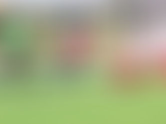 Pende de un hilo Bandera Blanca Varonil en los JNP