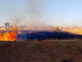 Se reporta incendio en pastizal del CERESO, sobre Blvd. Francisco Villa