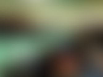 Gran éxito del “Paseo Navidad” Festival Decembrino en GP