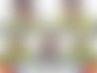 Vinculación a proceso de presuntos narcomenudistas 