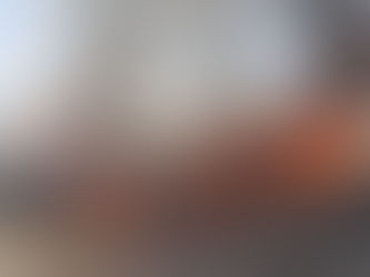 Ayuntamiento trabaja en la prevención mediante la limpieza de terrenos donde se acumula basura