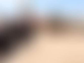 Alcalde arranca construcción de nuevo centro comercial