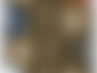 Programa Fiesta Mictlán, Gómez Palacio, Durango.