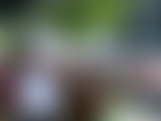 Más de 40 mil duranguenses participaron en 653 simulacros simultáneos en todo el estado