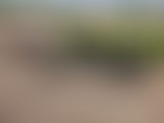 Ejército Mexicano y Guardia Nacional detienen a 15 personas y aseguran armamento en Durango