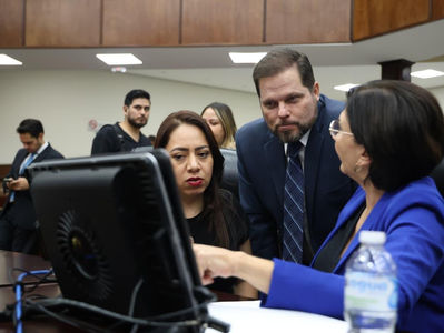 Tipificar Congreso violencia vicaria