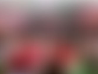 Radio Maratón 2025 supera meta con más de 260 mil juguetes