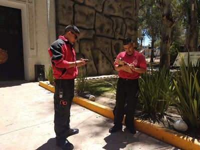 Ficha Informativa: Prevención por rachas de viento en la ciudad