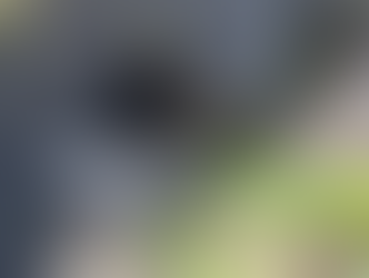 Rescatan Bomberos de Durango a dos canes atrapados en el canal del Arroyo Seco