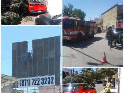 Diferentes afectaciones por fuertes vientos