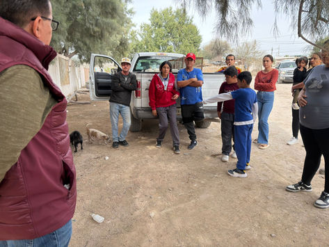 Indignación en Gómez Palacio por envenenamiento masivo de perros en ejidos