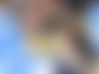 Gómez Palacio arranca 2026 con casi mil vacantes en la Feria de Empleo