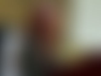 Aprueba Congreso del Estado la Ley Nicole por unanimidad, iniciativa de la diputada Sandra Amaya