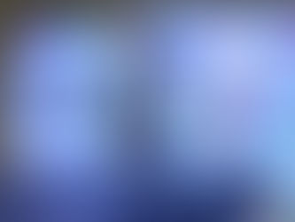 Regresa a Gómez Palacio la Expo Bazar DIFerente