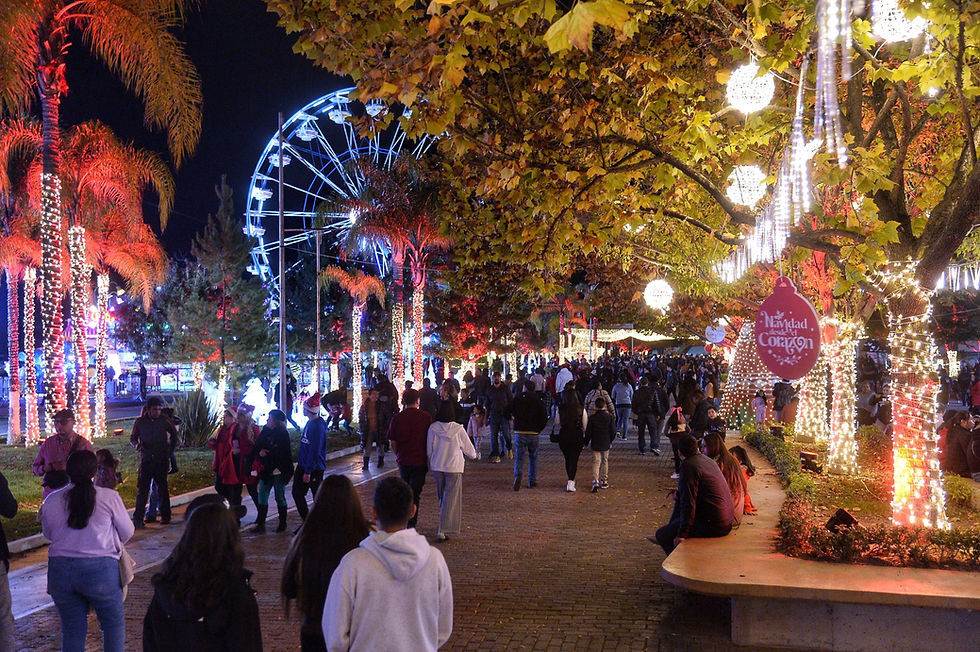 Feria Navideña del Gobierno del Estado, un espacio familiar y seguro, afirman visitantes
