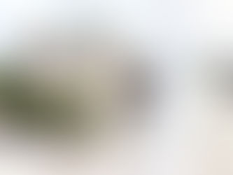 Facultad de Psicología y Terapia de la Comunicación Humana invita al taller “Lengua de Señas Mexican