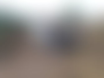 Accidente vehicular entre dos camionetas