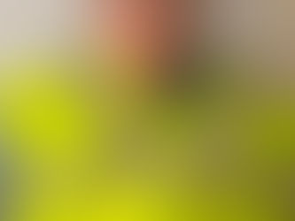 SENTENCIA CONDENATORIA PARA RESPONSABLE DE HOMICIDIO EN LA COL. UNIVERSAL, DGO