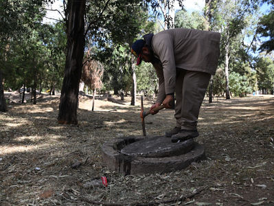 AMD mantiene en óptimas condiciones el Bosque Rosa, para el disfrute de miles de familias
