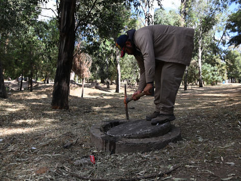AMD mantiene en óptimas condiciones el Bosque Rosa, para el disfrute de miles de familias