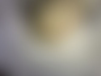 Atiende Medio Ambiente, reporte sobre un enjambre de abejas