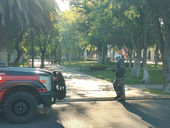 Ataque de abejas en la Plazuela Baca Ortiz deja 14 personas afectadas en Durango