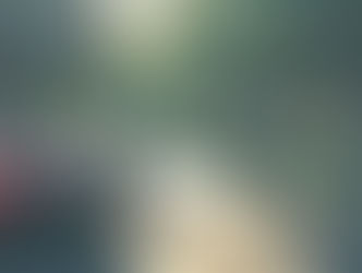 Ataque de abejas en la Plazuela Baca Ortiz deja 14 personas afectadas en Durango