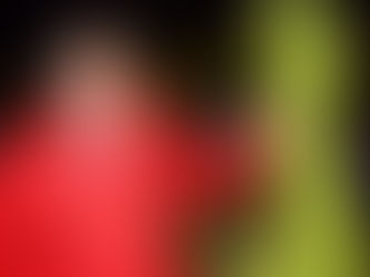 Durango, rumbo a la ciudad más arbolada del país: Rigoberto Quiñonez