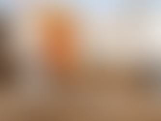 Actúa el Municipio ante foco de infección en vivienda de Bosque Real