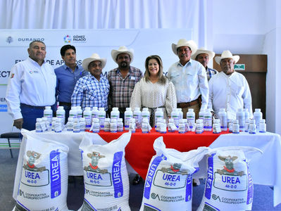 Entrega alcaldesa LHA apoyos a productores agrícolas afectados por fenómeno meteorológico