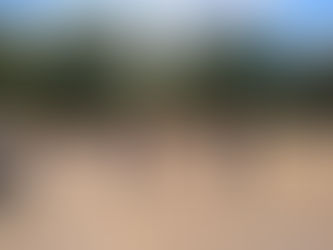 La UJED albergará el “Congreso Mexicano de Recursos Forestales”