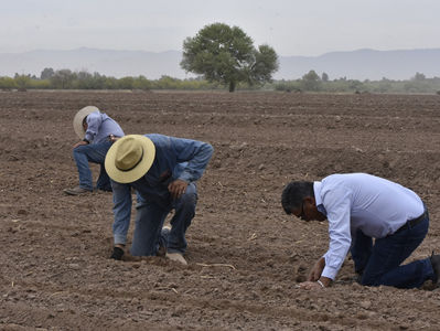 Otorgan a productores sociales de Gómez Palacio subsidios para fumigar sus parcelas