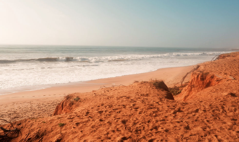 21 dní – Ano nebo ne?