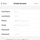 account info.png
