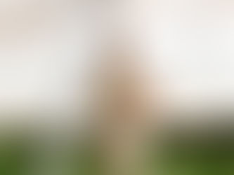 Newsletter: June 2020