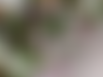 Newsletter: July 2020